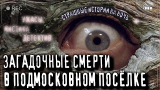 Страшные истории  Детективы  РАССЛЕДОВАНИЕ В ПОДМОСКОВНОМ ПОСЁЛКЕ  Страшилки Конкурс Моран Джурич [upl. by Uria789]