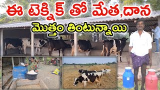 మేత మీద దాన పోస్తున్నాం how to do dairy farm MalleshAdla [upl. by Pacificas]