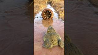 Survival Skills Simple and Useful with Clay Frog Trap survival bushcraft camping shrots [upl. by Roselane]