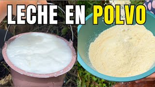 El Secreto Para Hacer la LECHE en POLVO Perfecta [upl. by Diskin]