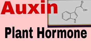 Plants HormoneAuxin HormoneFor TGTPGTNEETBScMScClass 12th and10th and other exam [upl. by Grishilda388]