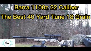 Barra 1100z Best Tune Shooting 40 yards with 18 grain pellets [upl. by Phare686]