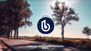 J Balvin Tokischa  Perra Lusho Remix [upl. by Essyla]