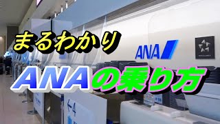 ANAの乗り方を予約から搭乗までまるごとご紹介 【飛行機 国内線 全日空】 [upl. by Nemrac]