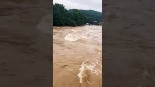 Hochwasser Esslingen am Neckar [upl. by Clauddetta]