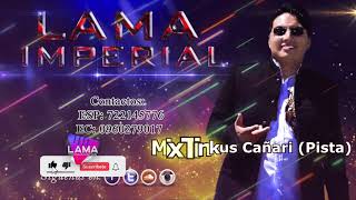 MIX TINKUS CAÑARI  Pista LAMA IMPERIAL [upl. by Cosmo]