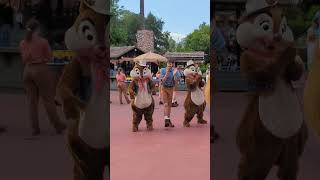 Chip and Dale Hoedown in Walt Disney Worlds Magic Kingdom [upl. by Keldah]