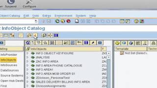 SAP BI Training InfoObjects [upl. by Weiman]