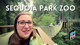 Sequoia Park Zoo  AMPM IRL [upl. by Aissatsana]