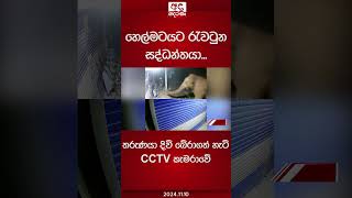 හෙල්මටයට රැවටුන සද්ධන්තයා තරුණයා දිවි බේරාගත් හැටි CCTV කැමරාවේ cctv elephant [upl. by Odlavso]