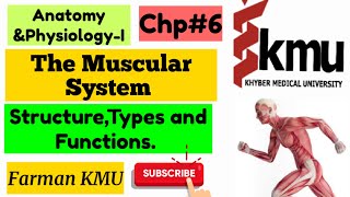 Muscular SystemAnatomy and physiology Unit 6  muscles locationTypesStructure and Functions [upl. by Jarid]