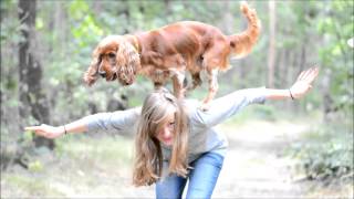 Amazing cocker spaniel Scooby  tricks amp agility [upl. by Marden]