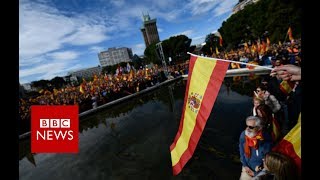 Vox Who are Spains farright party  BBC News [upl. by Naples]