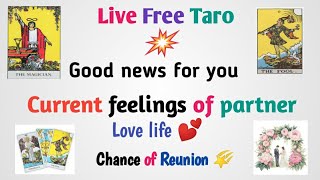 Live Taro 💐 Aapka Partner kuchh kahna chahata hai Aaj [upl. by Ynattirb]