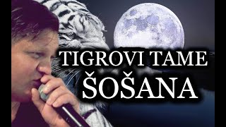 TIGROVI TAME  ŠOŠANA UŽIVO [upl. by Alekehs]