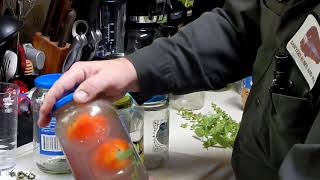 Old Method  Easiest Way to Store Garden Fresh Tomatoes Thru the WinterIndefinately [upl. by Tnomel550]