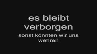 Rammstein  Wilder Wein lyrics HD [upl. by Yeclehc]