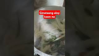 Kaon na ta guysaskalvlogtv cookingvideo [upl. by Innaig]