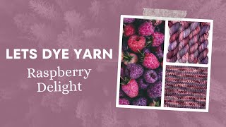 Lets Make Hand Dyed Yarn  Raspberry Delight [upl. by Dream]