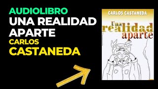 AUDIOLIBRO Una Realidad Aparte  Carlos Castaneda Audiobook Completo en Español [upl. by Eudora681]