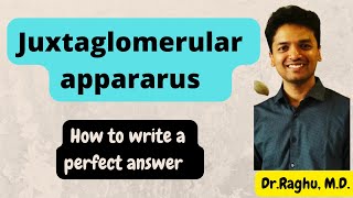 Juxtaglomerular apparatus  Tubuloglomerular feedback  mbbs physiology [upl. by Horter]