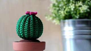 Tutorial Cactus rotondo amigurumi [upl. by Juditha]