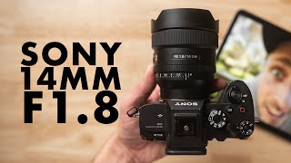 Sigma Vs Tamron  Best Budget Sony Wide Angle Lens [upl. by Torrey]