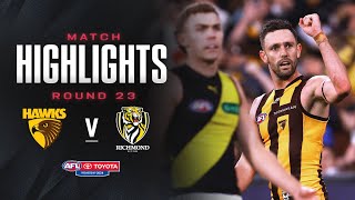 Hawthorn v Richmond Highlights  Round 23 2024  AFL [upl. by Melquist999]