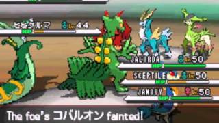 Pokemon Black amp White WiFi Battle 21 [upl. by Eceeryt520]