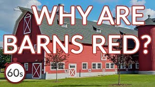 Why Are Barns Red in 60 seconds [upl. by Irehj]