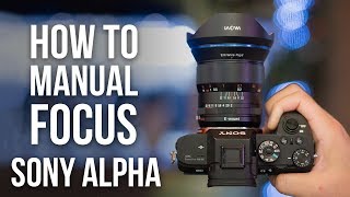 How to Manual Focus on Sony a6000 a6100 a6400 a6500 a6600 a7R IV a7III a9 II a7S II [upl. by Kaila]