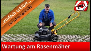 Wartung am Rasenmäher  Rasenmäher Messer schärfen und auswuchten  So lebt dein Rasenmäher länger 👍 [upl. by Nitsug]