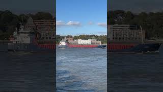 HAAFJELL  General Cargo Ship  IMO 9148207  06102024  Hamburger Hafen [upl. by Drusy]