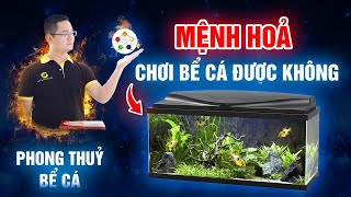 01 Mệnh Hỏa có dùng được Bể cá không  Tuấn Phong Thuỷ [upl. by Lemmor87]