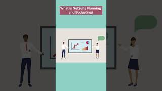 NetSuite Planning and Budgeting Explained [upl. by Bibby]