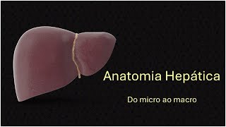 Anatomia hepática [upl. by Audly920]