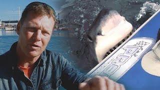 Great White Shark Attack Interview with Rainer Schimpf Exclusive Video [upl. by Skees]