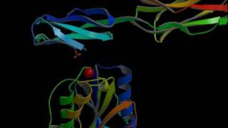 ICAMIntegrin inhibitors Rate My Science [upl. by Vyner]