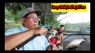 Ikan Rame Sukur2 Dapat Amplop [upl. by Dehsar]