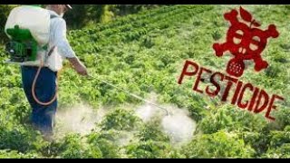 Pesticides Bioaccumulation Biomagnification amp Xenobiotics PART 1 [upl. by Sivatnod744]