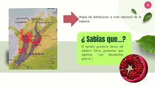 Metabolitos secundarios actividad biologica y etnobotanica de plantas de Santa Marta [upl. by Darice]