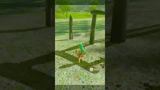 Using Boomerang in Zelda BOTW  Zelda Breath of the Wild viral zelda botw shorts [upl. by Nahsab191]