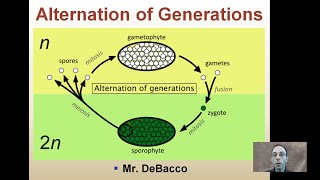 Alternation of Generations [upl. by Semyaj103]