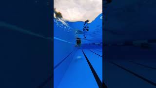 Efficient freestyle swimming swimming [upl. by Idur424]