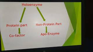 Confusions of HoloenzymeApoenzymeCoEnzymeCofactor [upl. by Seldun892]