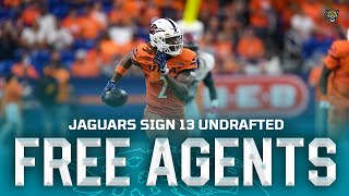 Jaguars Sign 13 Undrafted Free Agents [upl. by Esylle]