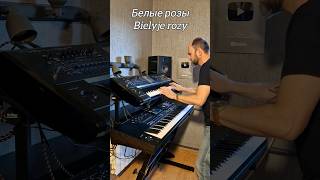 Bielyje rozy Remix PiotrZylbert 80s Music Hits shorts [upl. by Norrabal534]