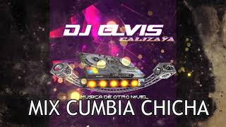 MIX CUMBIA CHICA CHICHA MMIX 2024 DJS MIX DJ ELVIS [upl. by Miza]