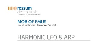 Rossum ElectroMusic Mob Of Emus Polyfunctional Harmonic Sextet Harmonic LFO Demonstration [upl. by Hachmann]