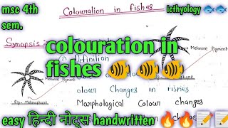 colouration in fishes 🐠🐠🐠msc zoology 4th semester full हिन्दी easy Notes ✍️✍️📝 [upl. by Binny]